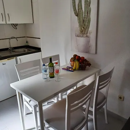 Aloe In Apartamento