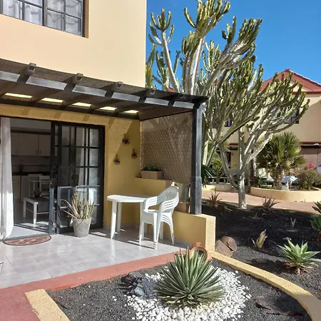Apartamento Aloe In *